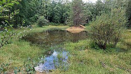 Rendez-vous au rond de Condé