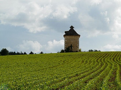 Le Sentier des Pigeonniers - Sarrant