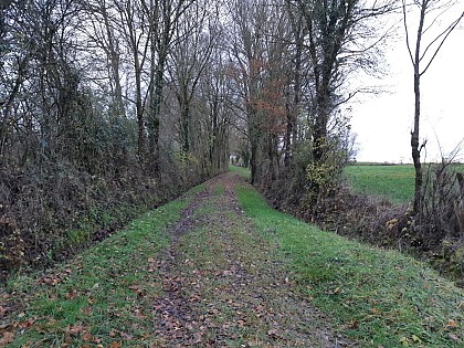 Marsonnas et le Bois de la Déserte