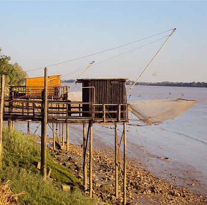 Route de la Corniche fleurie