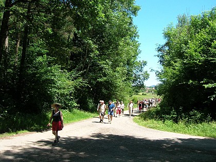 Circuit pédestre "Le Sentier de l'Onde" - Lure - Vosges du sud