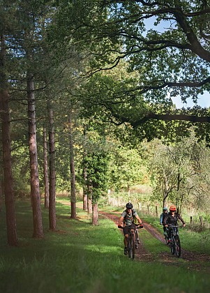 Les Bois de Campandré