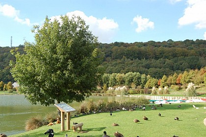 Boucle E " Par Monts et par Vaux "