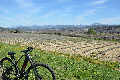 VTT n°19 - Le tour des Abbayes