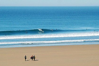 Entre landes et dunes