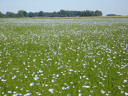 Boucle G " Dans bois et plaines "