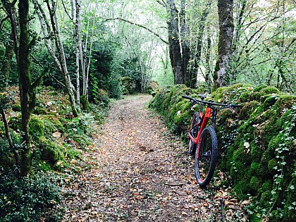 Randonnée VTT sur AJAT dans le Périgord Noir