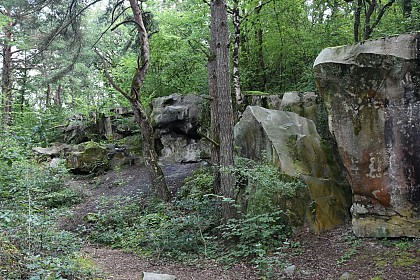 Boucle du patrimoine et de la géologie de La Ferté-Alais (CCVE)