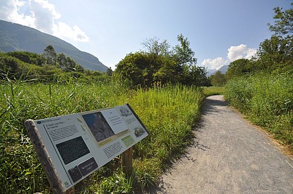 Lake's edge preserve - Bout du Lac