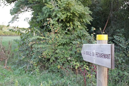 Boucle de Pécharmant - Bergerac