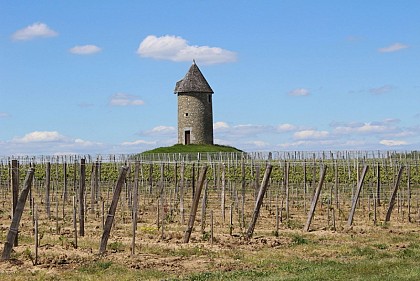 Boucle locale des moulins d'Eynesse