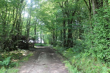 Boucle locale du coucou à Landerrouat