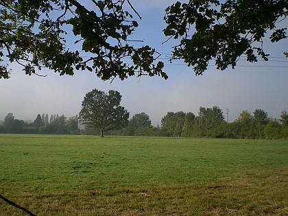 Adainville Condé - Entre Chesnaye et Rouvray