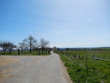 Balade sonore - Découverte du village de Pfalzweyer