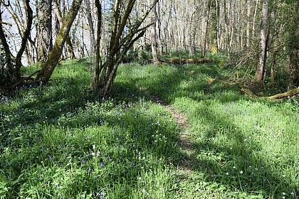 Boucle de la Filature et du Moulin