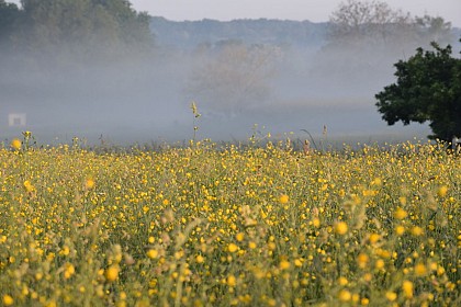 Boucle des 3 Cerisiers