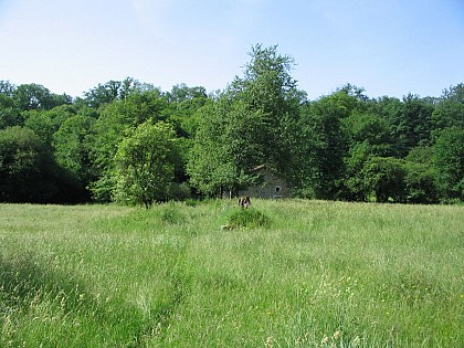 Boucle de l'Abbaye - sentier historique
