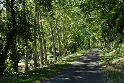 En passant par les Clerbaudières