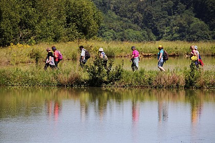 L'Air du vin de châteaux en domaines