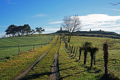 Les Orgues
