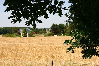 Le Tartre Gaudran La Hauteville - En cheminant sur les Buttes de Queue Noire