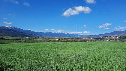 PR83 - Sentier du Bosquet