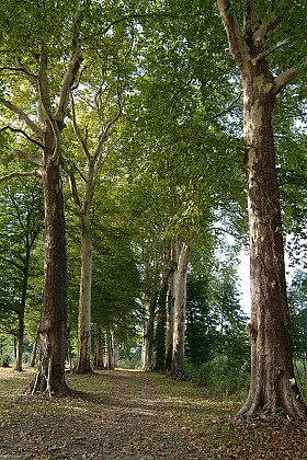 20km Running Route "Figure 8 Loop of the two valleys"