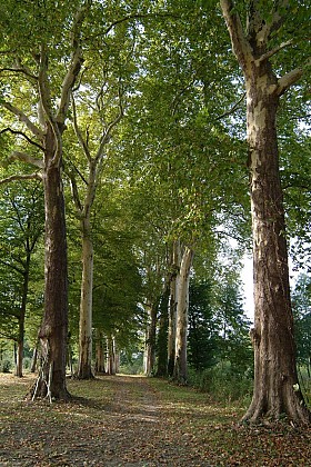 Parcours Running 20km "Boucle en 8 des deux vallées"