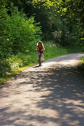 Promenade Autour de Clères : "Parcs et Vergers"