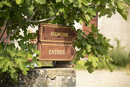 En passant par l'écomusée