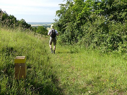 Le Coteau de Mesnil-Soleil