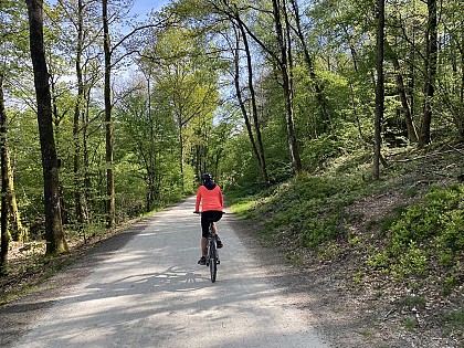 Circuit Gravel Le Lac à Bagnoles de l'Orne