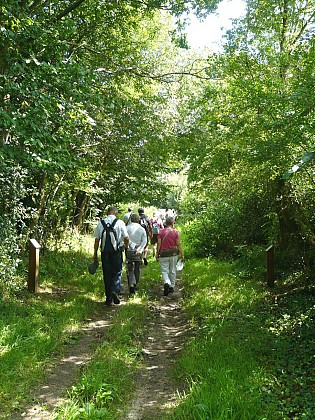 Sentier pédagogique de la Houpperie