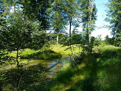 Sentier pédagogique de la Mare du Val l'Alouette