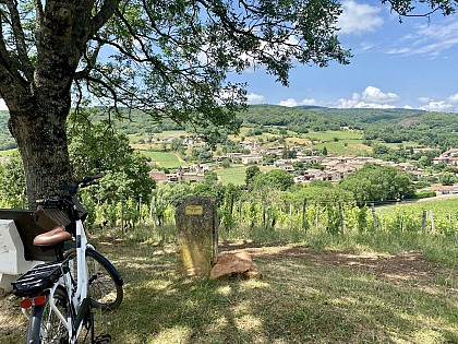 CycloRoute71 - Etape 12 de Cluny à Mâcon