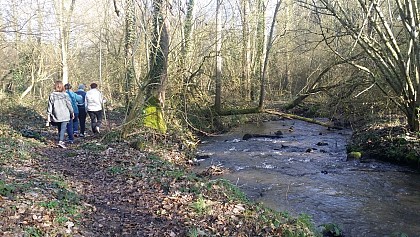Lassay-les-Châteaux, circuit du ruisseau