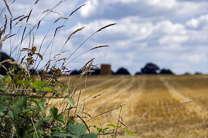 FOUGEROLLES DU PLESSIS - Circuit Claire Fontaine - N°9