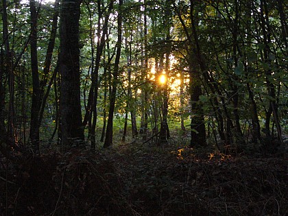 Randonnée à Mouettes