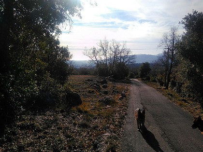 Sur les Hauteurs de Grasse, depuis la Route Napoléon jusqu'au Chemin des Trois Ponts