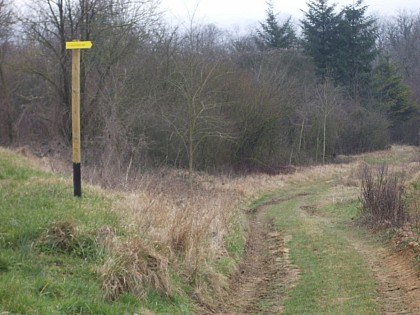 La Fontaine Saillard