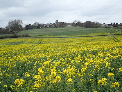 Paysages de Montjavoult