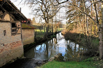 In the footsteps of the Senegoues