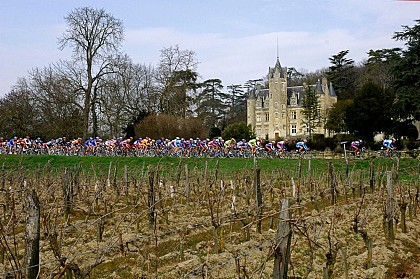 Boucle 38 de la Loire à Vélo : "entre Chinon et Candes-St-Martin