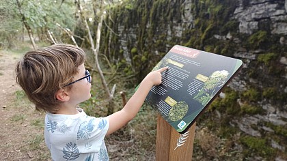 La forêt d'Azé, sur le toit des grottes