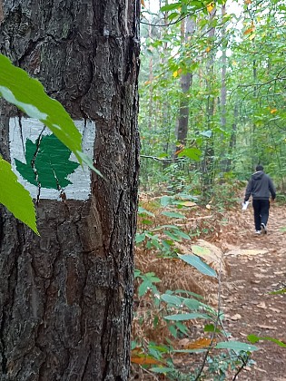 Sentier découverte du Bois de l'Oratoire