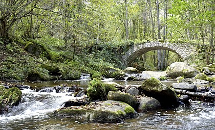 Les gorges de la Monne