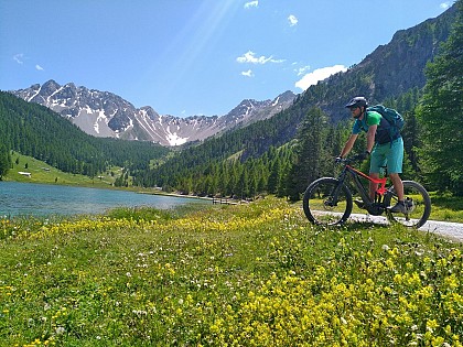 N°62 Rouge Mélézin