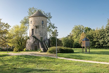 Le sentier de la tour