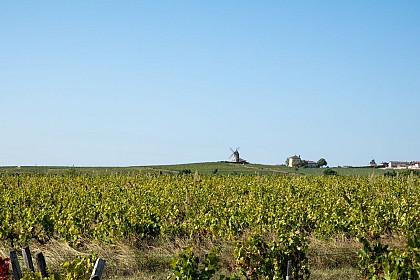 Sous les ailes du moulin