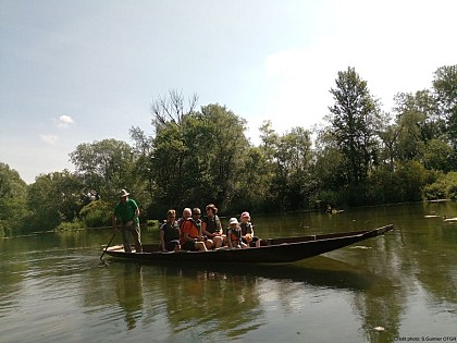 BL976 - Jungle Rhénane